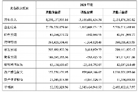 白银融资清欠服务